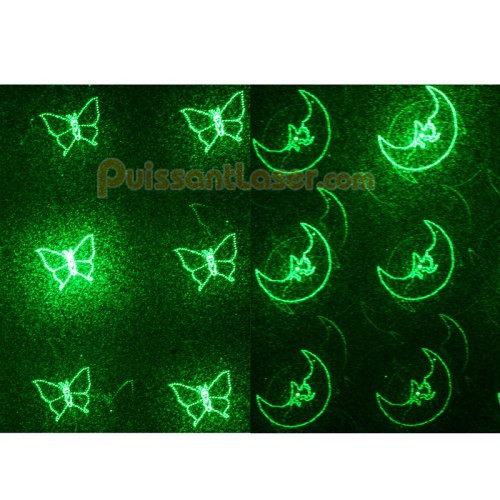 laser vert pointeur effaroucher oiseaux